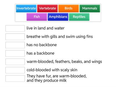 Classification Match