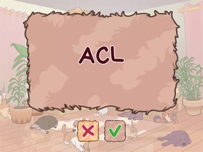 220-1201 Acronyms pt. 1