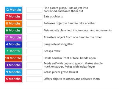 INFANT - Fine Motor Skills 