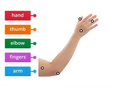 Arm parts