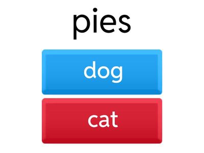 Zwierzęta domowe ćwiczenie 2