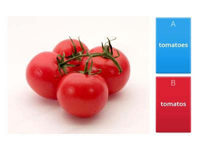 Plurals EASY Шипящие и O