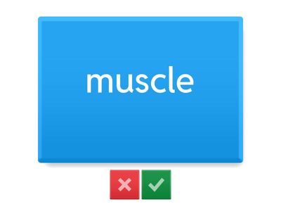 FRIENDS GLOBAL 11 - UNIT 3: SUSTAINABLE HEALTH - MS.