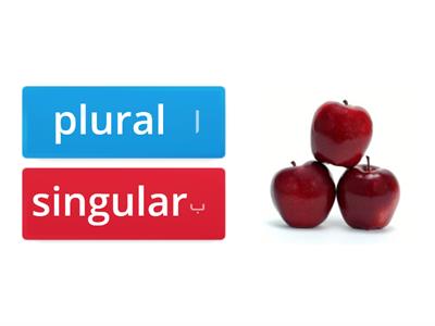 singular and plural for 4th grade.We can.