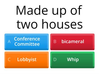 Legislative Branch Vocabulary 