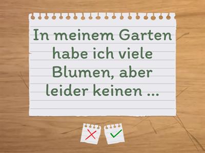 A1.2 L.14  Wortschatz