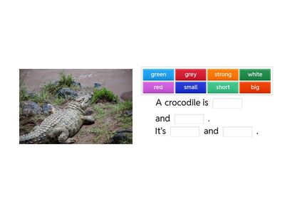 Unit 7: Animals Everywhere - crocodile