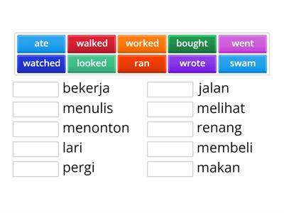 regular and irregular verb