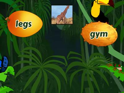 Oxford Phonics World 4 Unit 8- Flying words