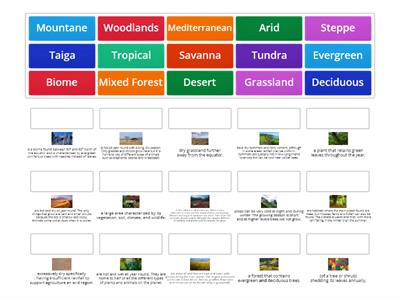 Biomes - Matching Pairs