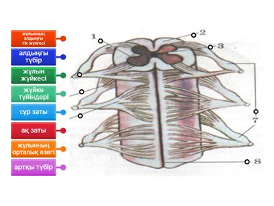 Ким Карадашян секс
