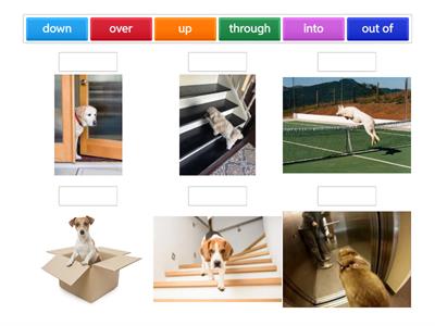  Предлоги Starlight4 0 module