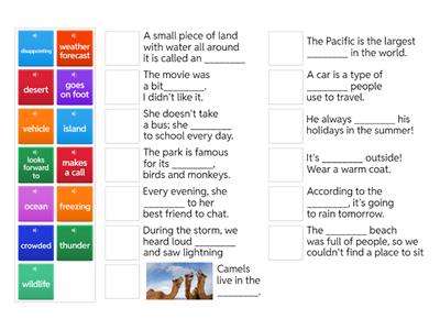 6D Gold Experience A2+