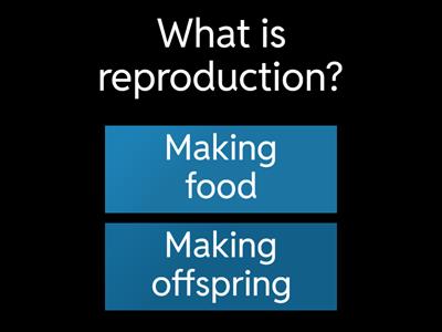 Reproduction Quiz