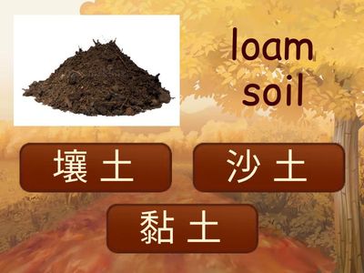一年级 9.5 土壤的成分（40 kuiz ）