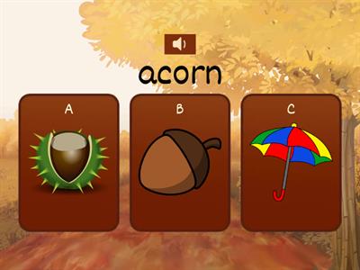 Autumn quiz