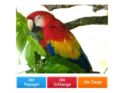 Tiere