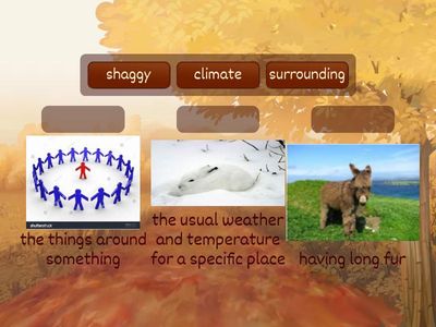 Animal Classification Vocabulary