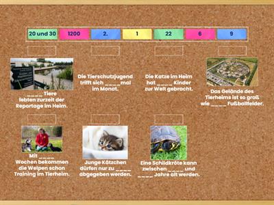 Zahlen, Zahlen, Zahlen...