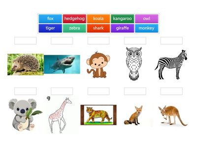 Unit 2 kl3 zwierzeta dodatkowe pictureas