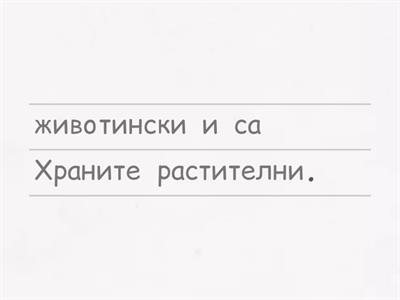 Чистота и здраве