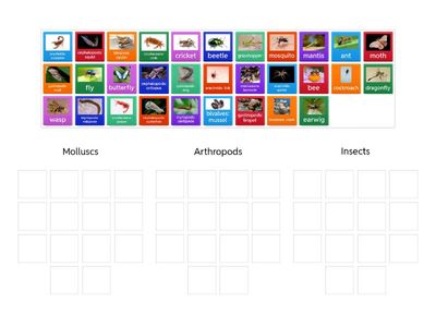 Classification of invertebrates2