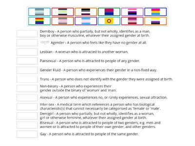 LGBT+ Flag Matching Game