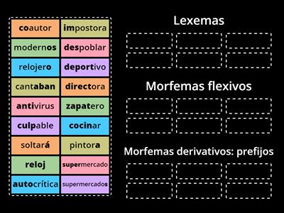 Tipos de morfemas