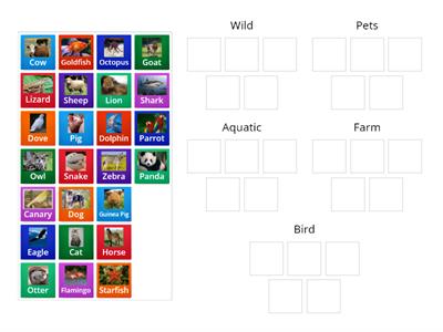 Animal Categories