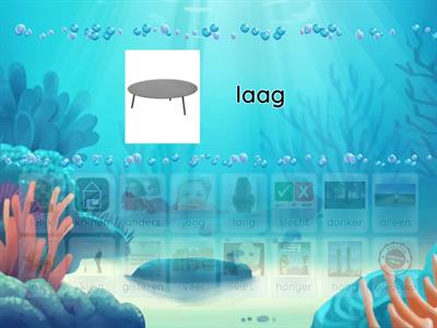 Tegenstellingen Nederlands in Gang H7