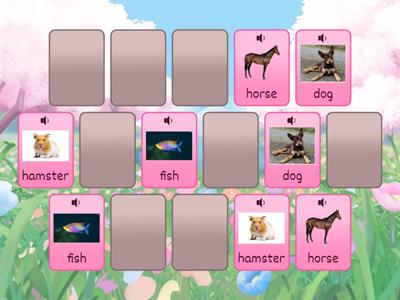 Kids Can 1 unit 3- pets Matching pairs