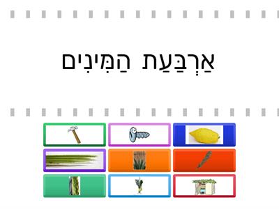  סוכות