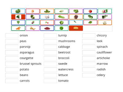 Vegetables (Wellman, p. 87) - match-up