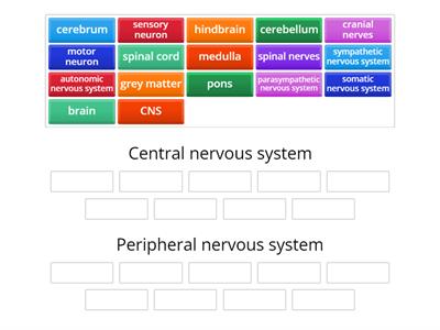 Sorting out the nervous system