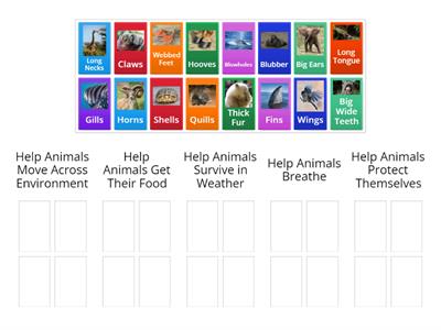 Animal Structures and Functions