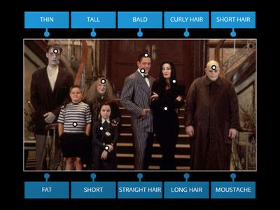 PHYSICAL DESCRIPTION - THE ADDAMS FAMILY