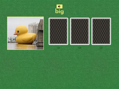 Synonym Win or Lose Quiz