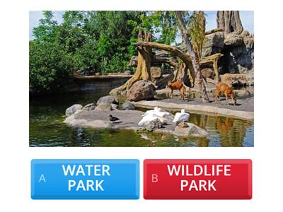 VACATION PALCES 4° PRIM