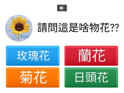 真平2年級第3册   玉蘭花 (這是啥物花)