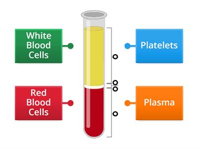 Four Blood Parts