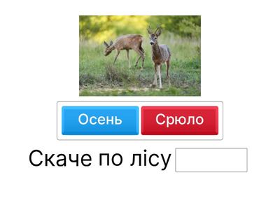 Склади правильно речення