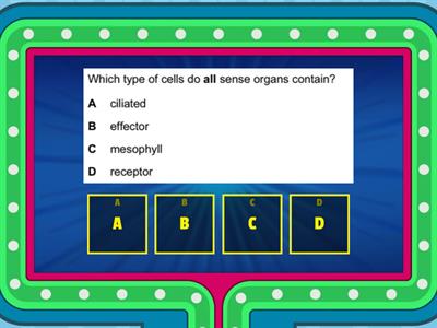 The best 20 MCQs on the eye