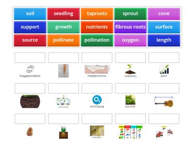 BIG SCIENCE 4 (PLANTS 2)