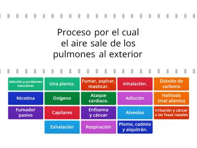 Sistema respiratorio y tabaquismo