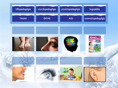 Gyógyped.asszisztensek- szakterületek