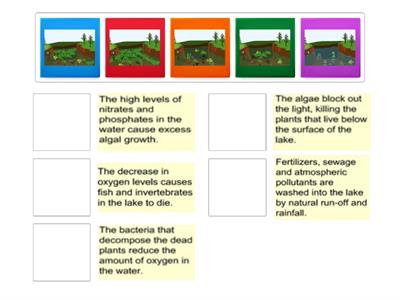 Eutrophication Match Up