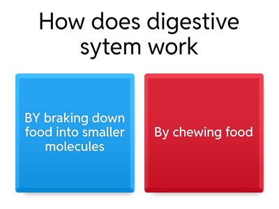 Digestive system