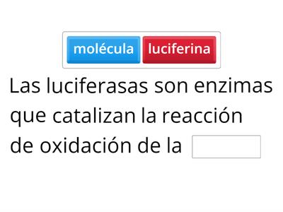  Producción de luz por luciferasas