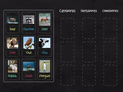 Herbivores, Carnivores and Omnivores 