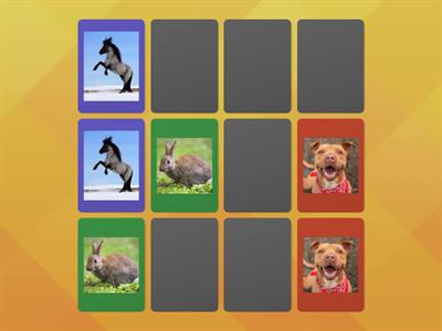 Animals matching pairs game